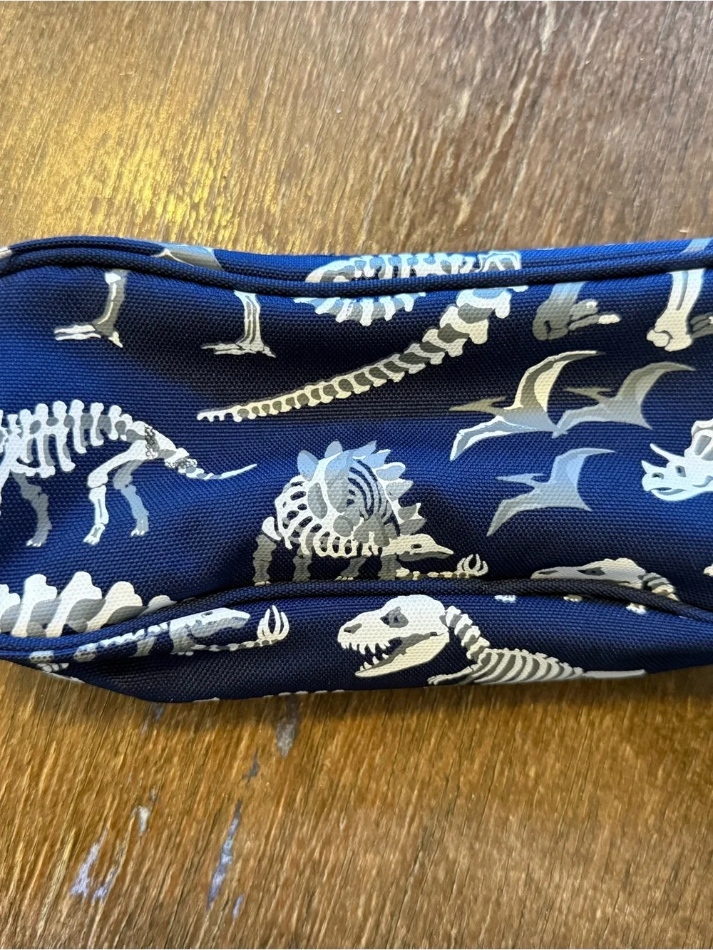 Pottery Barn Kids Dino Bone Pencil Case Blue Pouch